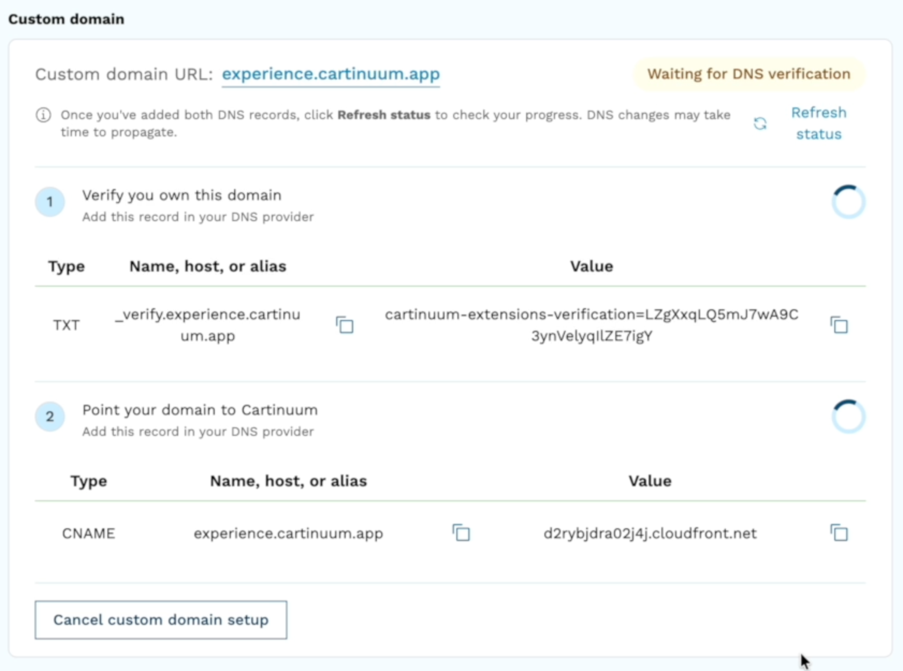 Review the DNS records