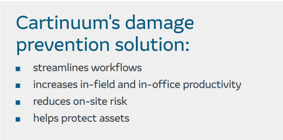 Cartinuums damage prevention solution